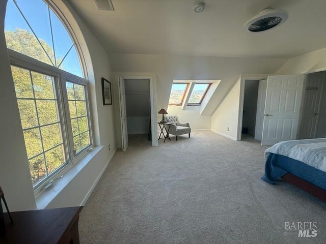 2410 Harness Drive Pope Valley CA 94567