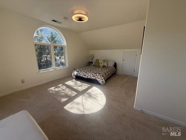 2410 Harness Drive Pope Valley CA 94567