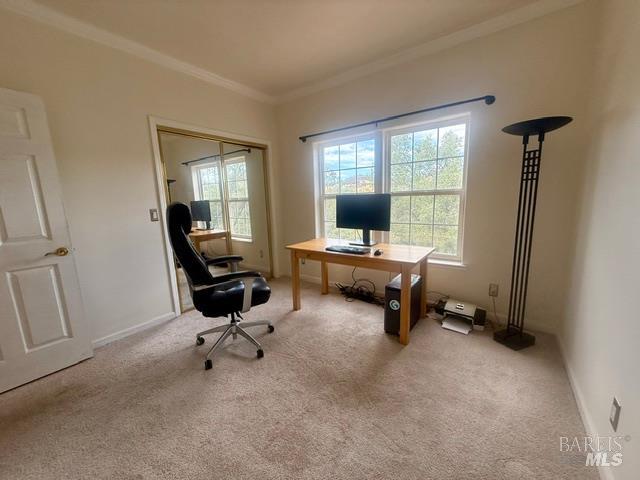 2410 Harness Drive Pope Valley CA 94567