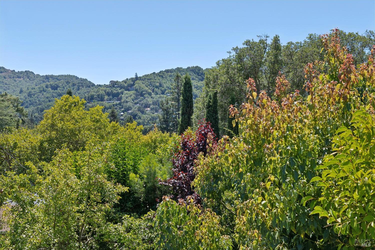30 Berkeley Avenue San Anselmo CA 94960