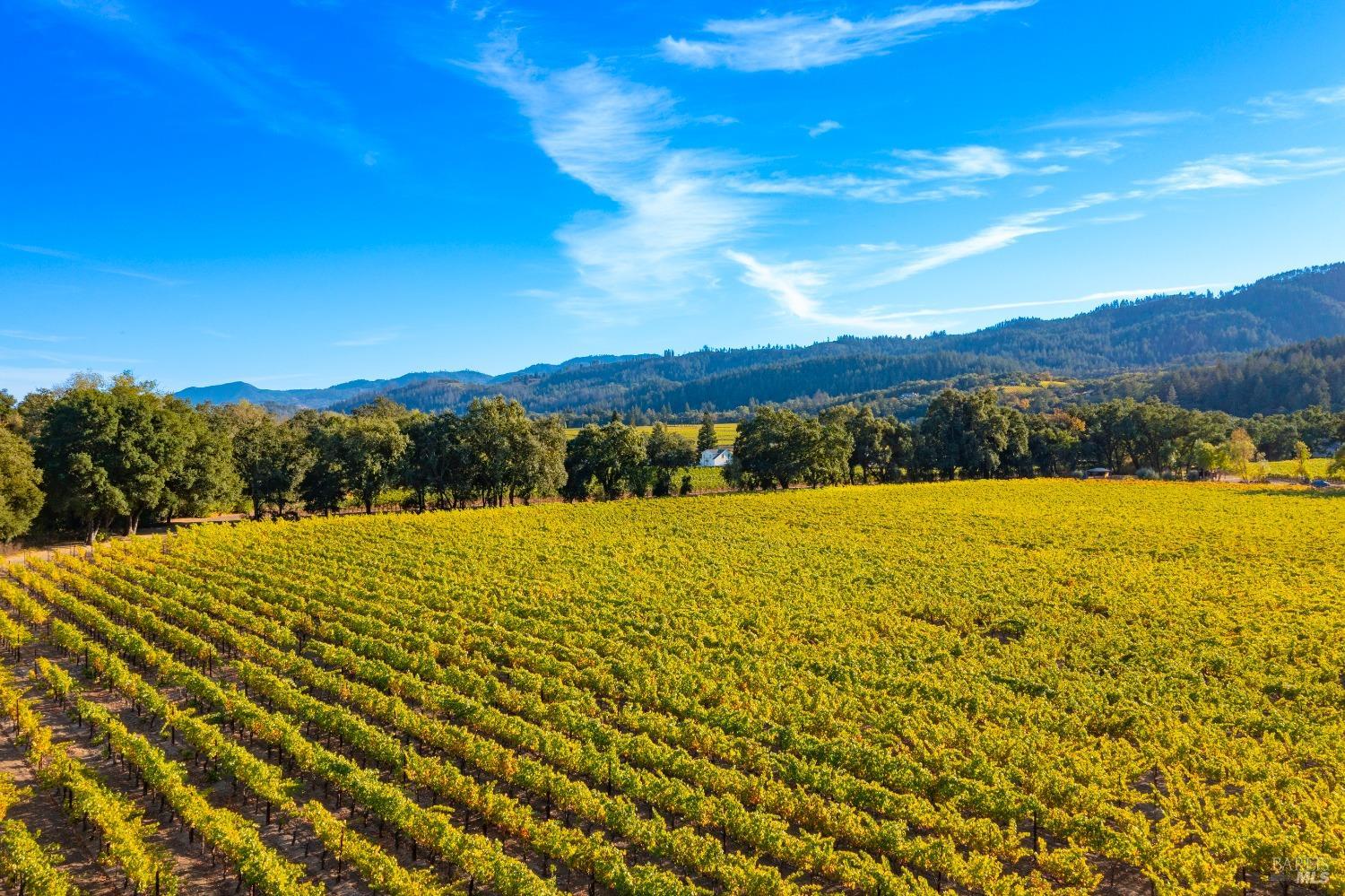 1010 Big Tree Road St. Helena CA 94574