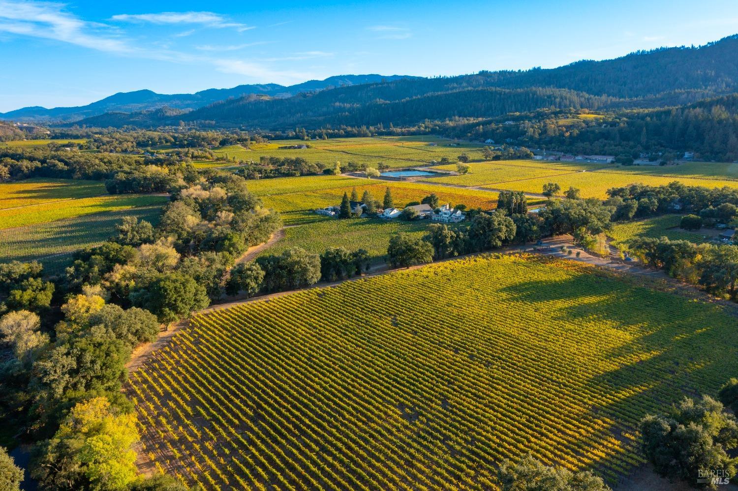 1010 Big Tree Road St. Helena CA 94574