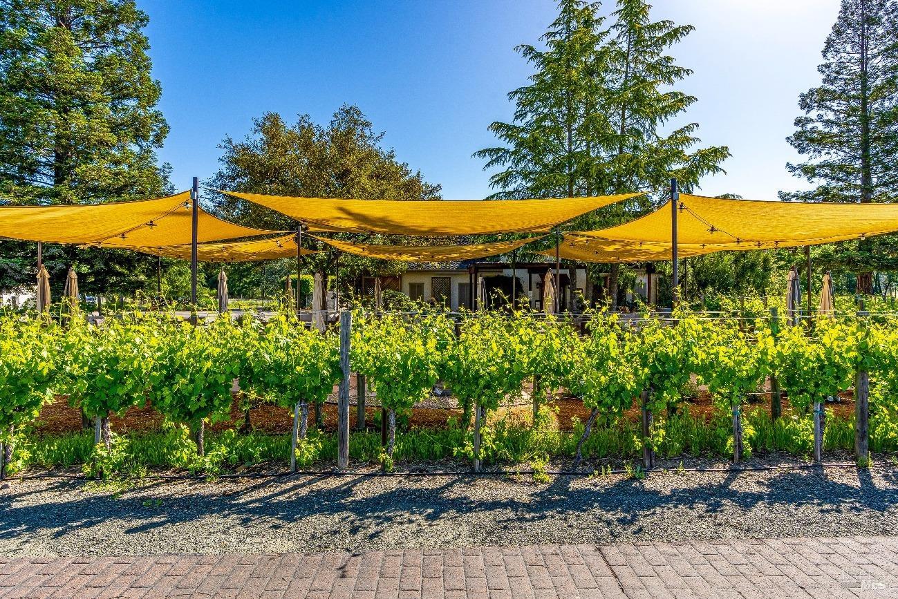 1010 Big Tree Road St. Helena CA 94574