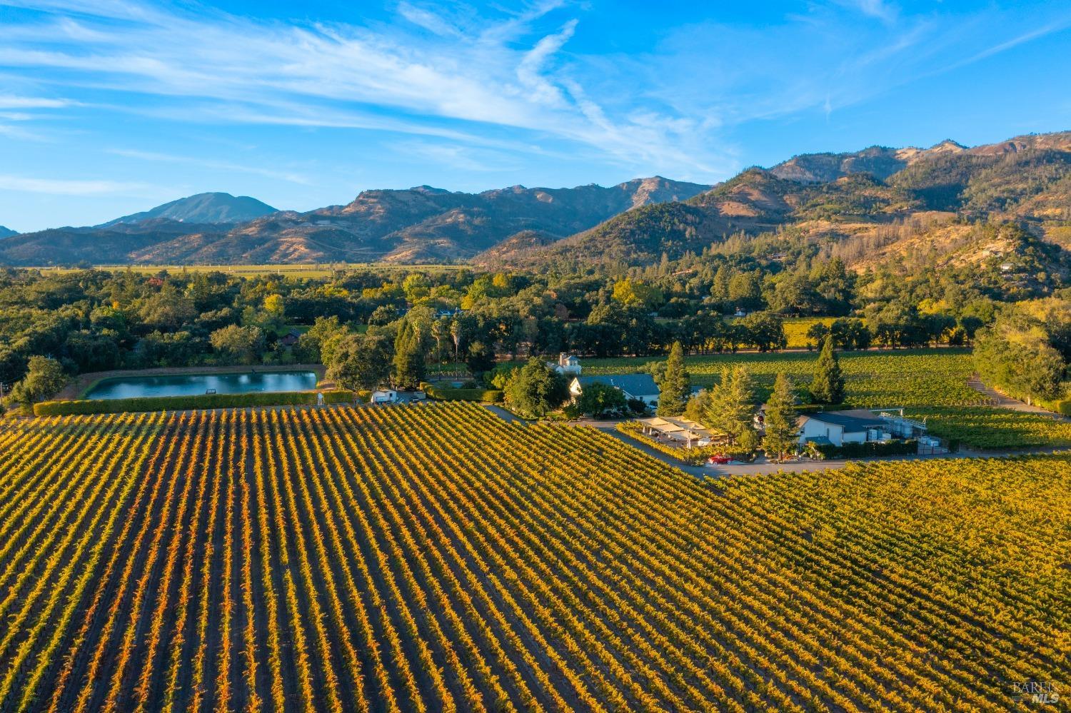 1010 Big Tree Road St. Helena CA 94574