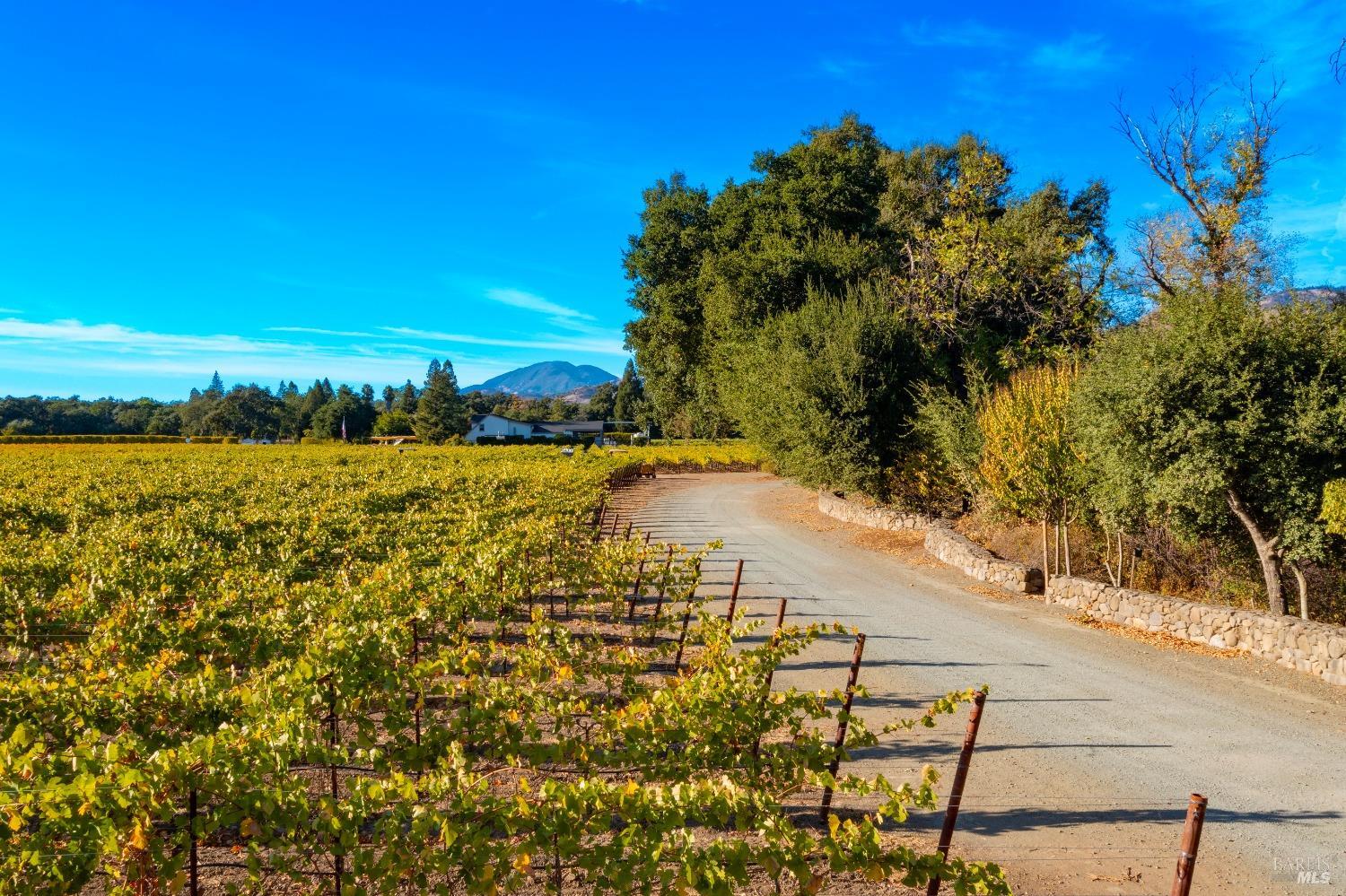 1010 Big Tree Road St. Helena CA 94574