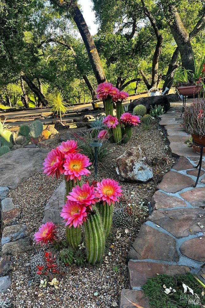 5975 Silverado Trail Napa CA 94558