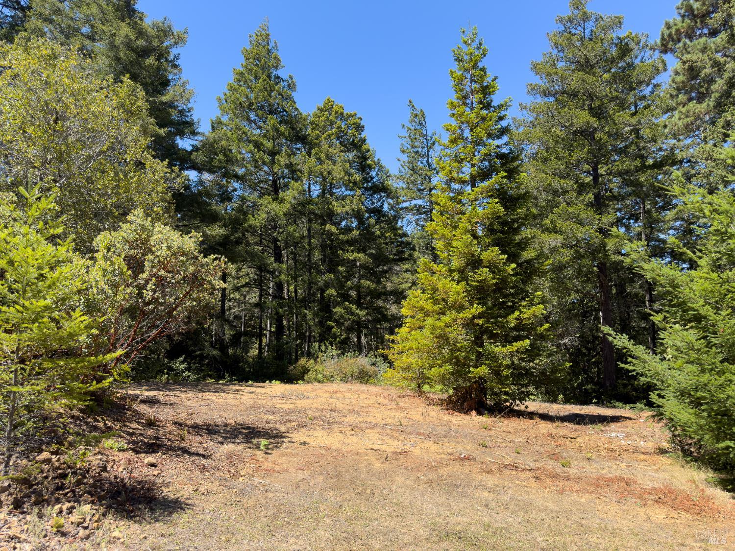 33416 Iversen Road Gualala CA 95445