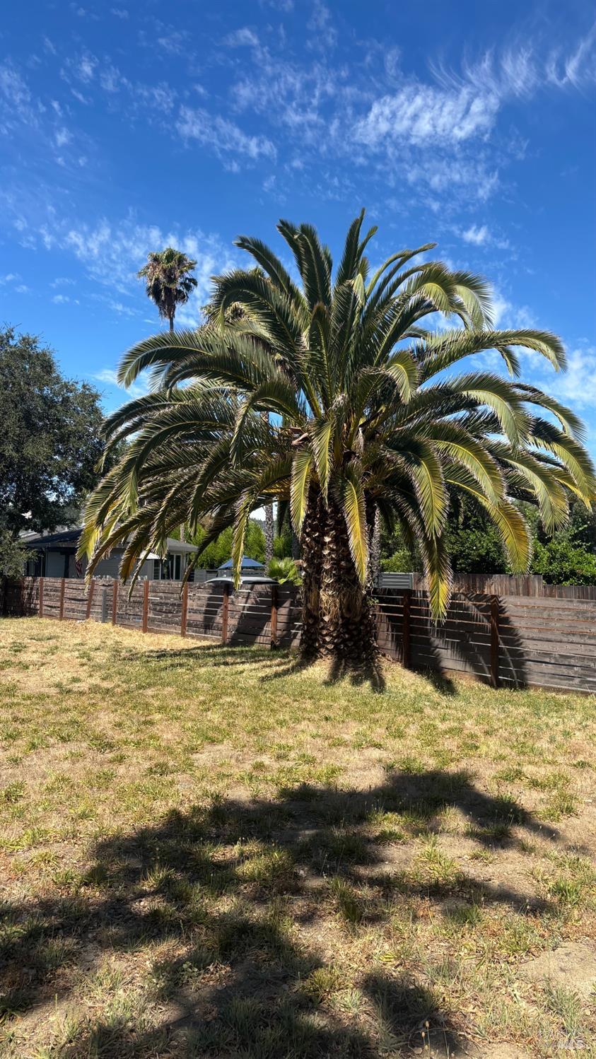 3049 Myrtledale Road Calistoga CA 94515