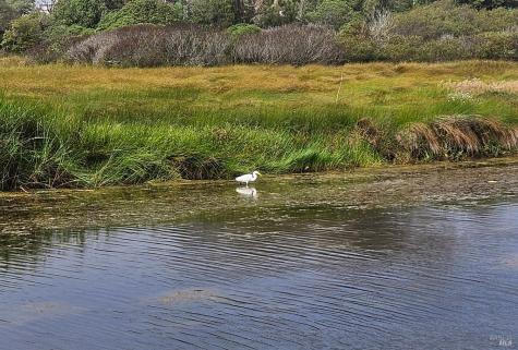 145 Bean Avenue Bodega Bay CA 94923