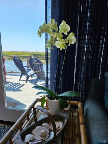 145 Bean Avenue Bodega Bay CA 94923