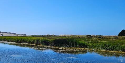 145 Bean Avenue Bodega Bay CA 94923