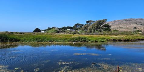 145 Bean Avenue Bodega Bay CA 94923