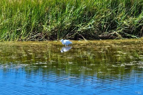 145 Bean Avenue Bodega Bay CA 94923