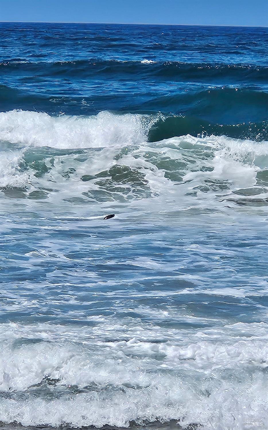 145 Bean Avenue Bodega Bay CA 94923