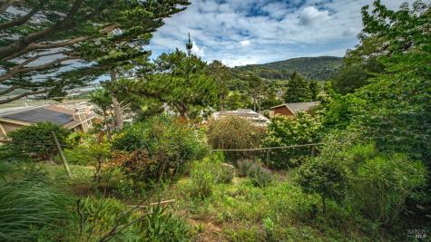 301 Greene Street Mill Valley CA 94941