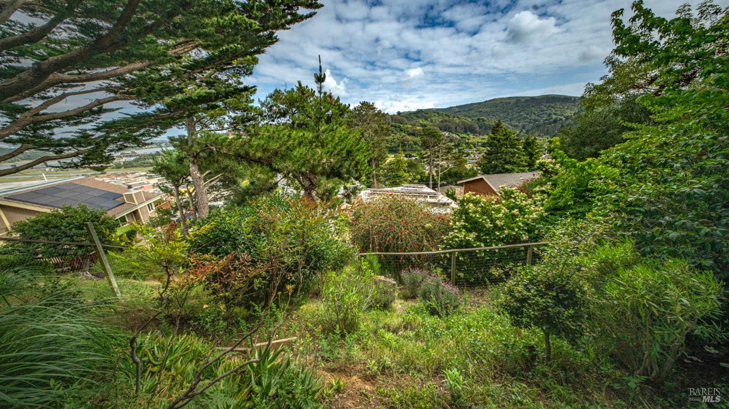 301 Greene Street Mill Valley CA 94941