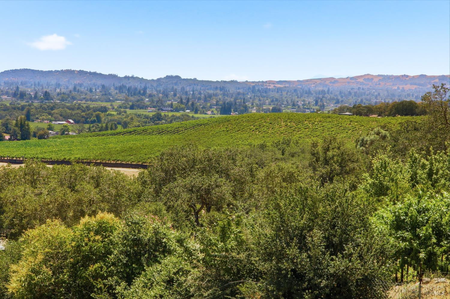 1024 Loma Vista Drive Napa CA 94558