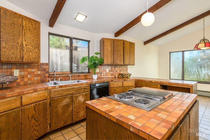 38851 Sedalia Drive Gualala CA 95445