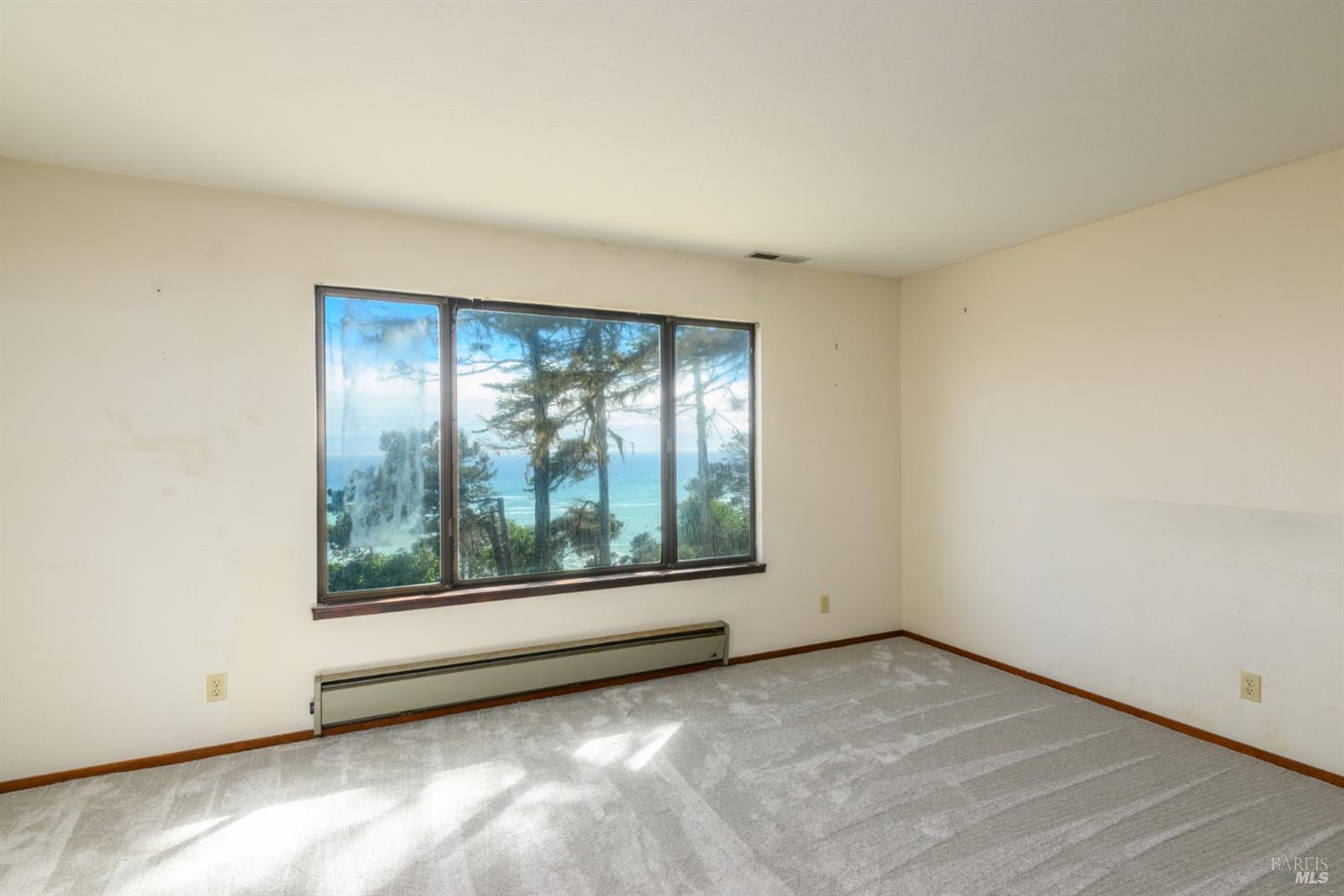 38851 Sedalia Drive Gualala CA 95445