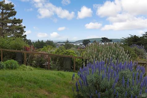 1534 Highway 1 Bodega Bay CA 94923