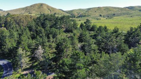 1534 Highway 1 Bodega Bay CA 94923