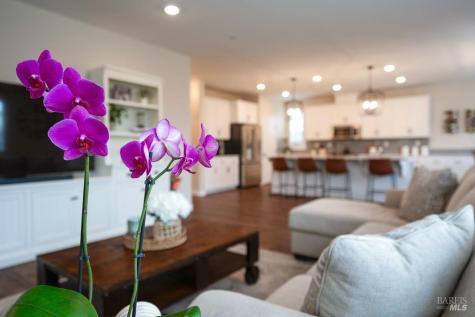 7447 Wendy Drive Rohnert Park CA 94928