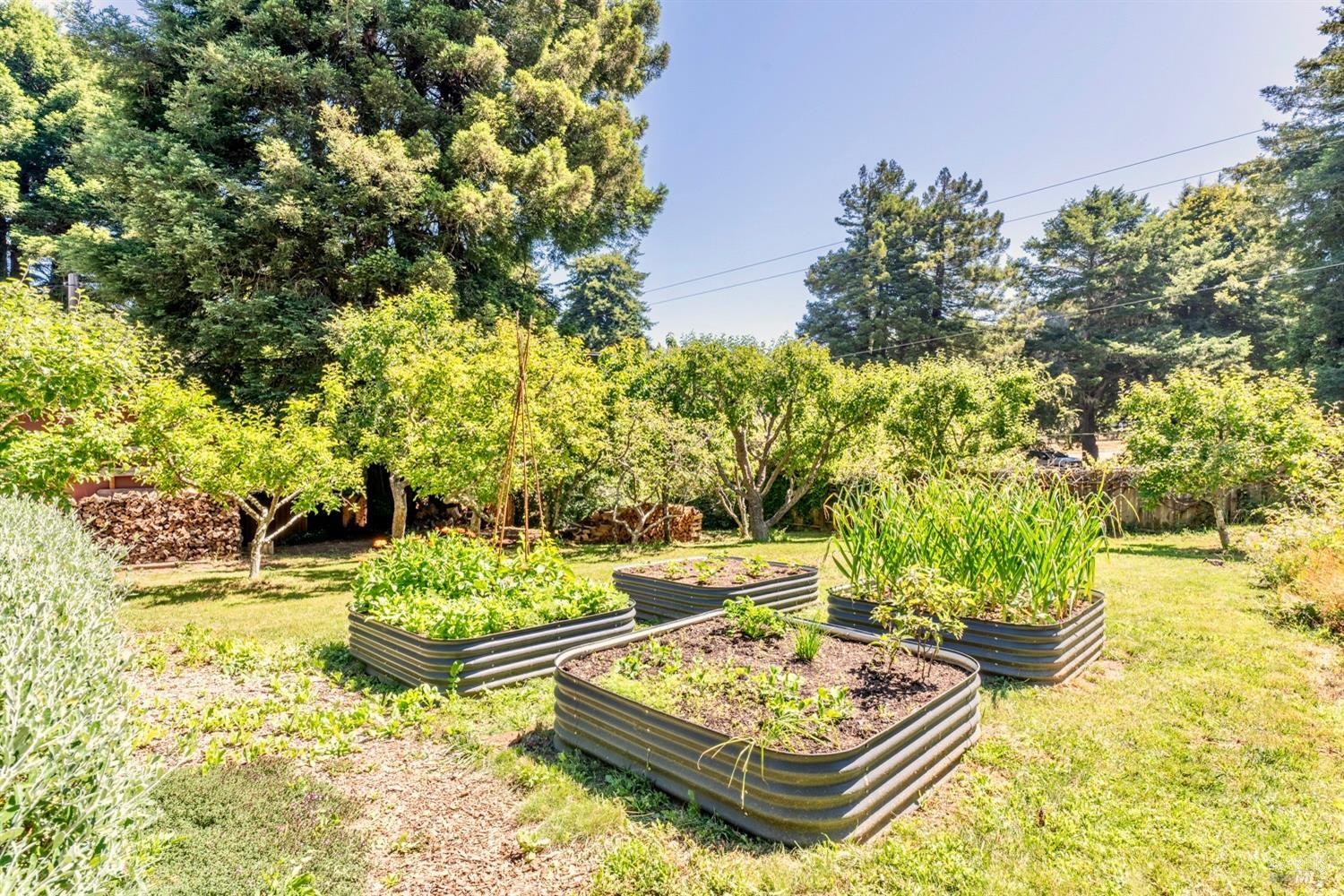 18961 Symes Lane Fort Bragg CA 95437