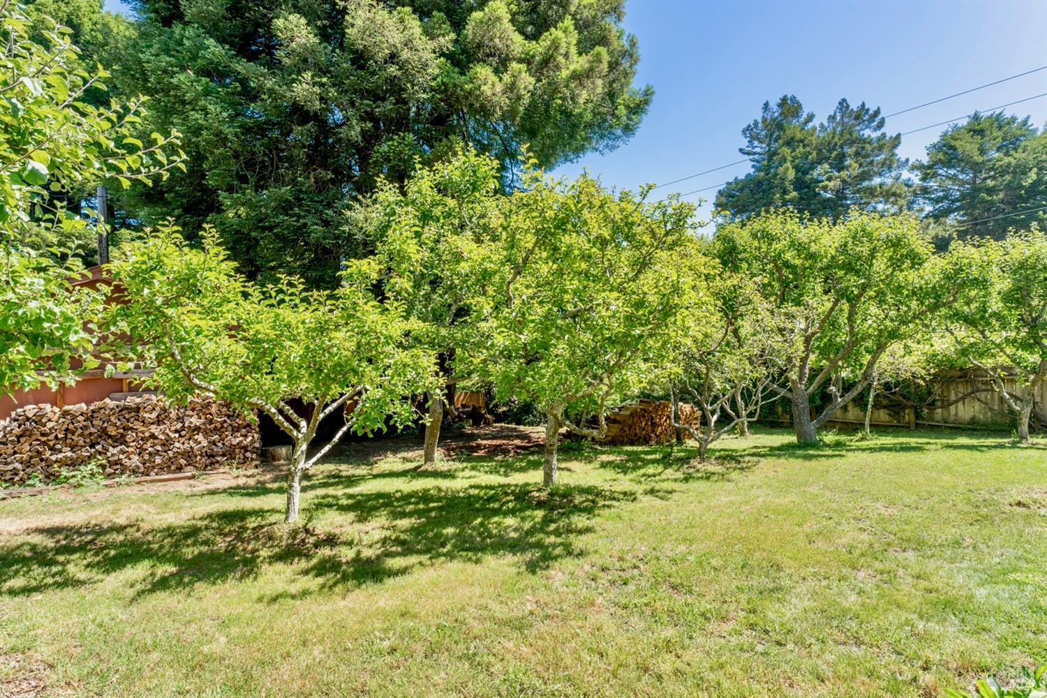 18961 Symes Lane Fort Bragg CA 95437
