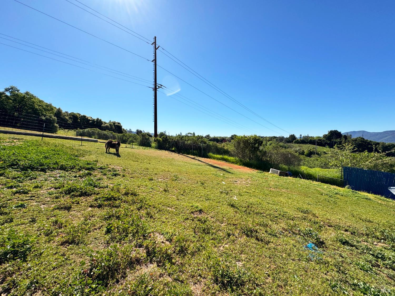 3997 Eastside Calpella Road Ukiah CA 95482