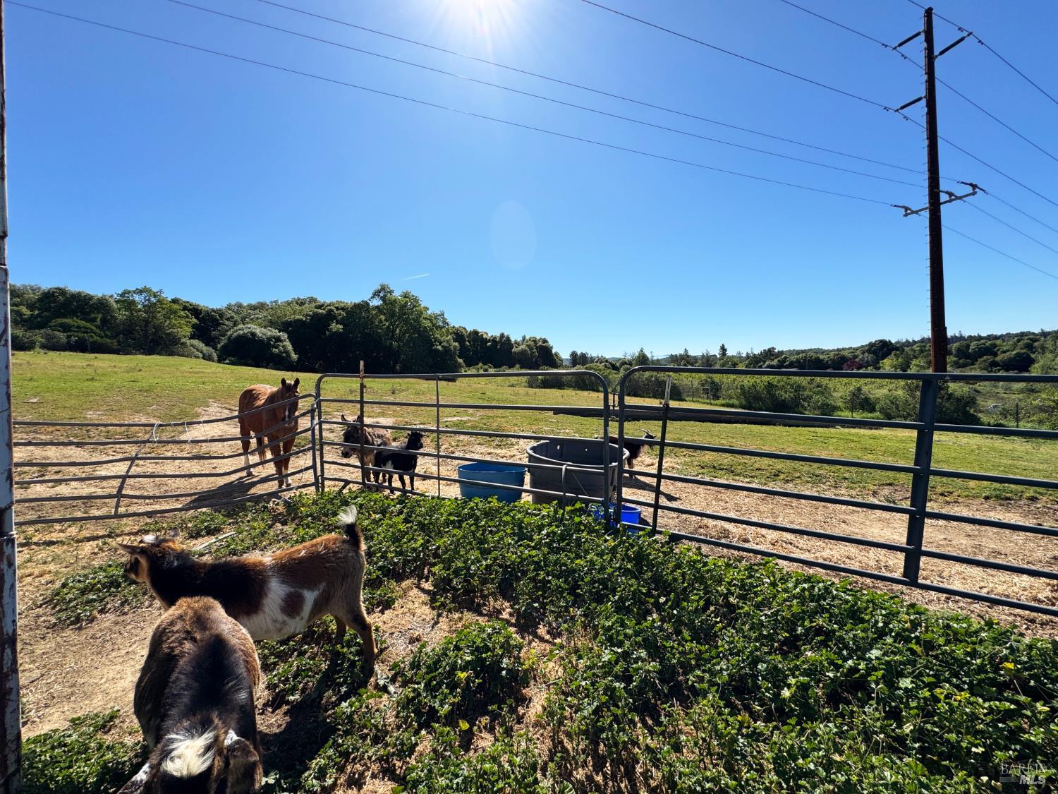 3997 Eastside Calpella Road Ukiah CA 95482
