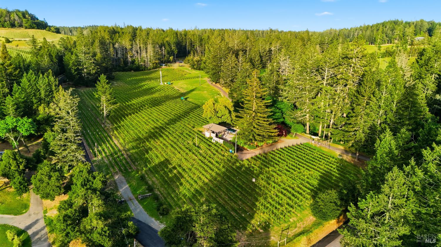 425 Cold Springs Road Angwin CA 94508