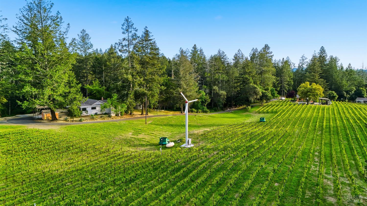 425 Cold Springs Road Angwin CA 94508