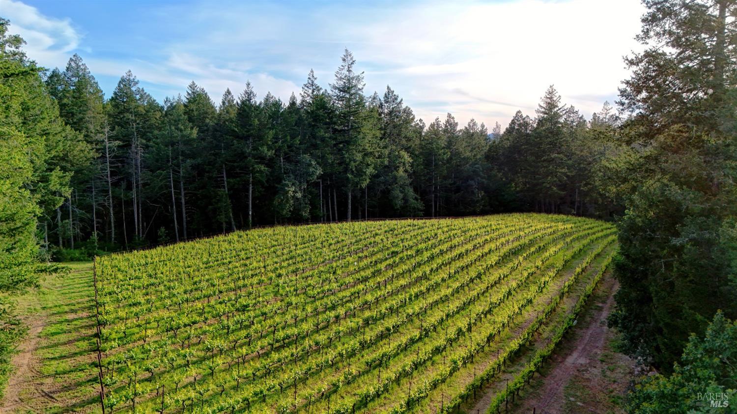 425 Cold Springs Road Angwin CA 94508