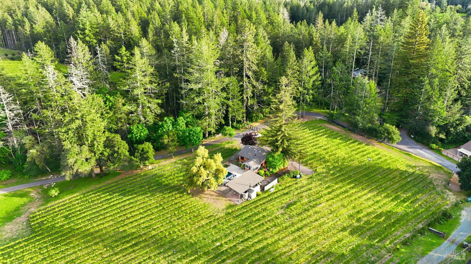 425 Cold Springs Road Angwin CA 94508