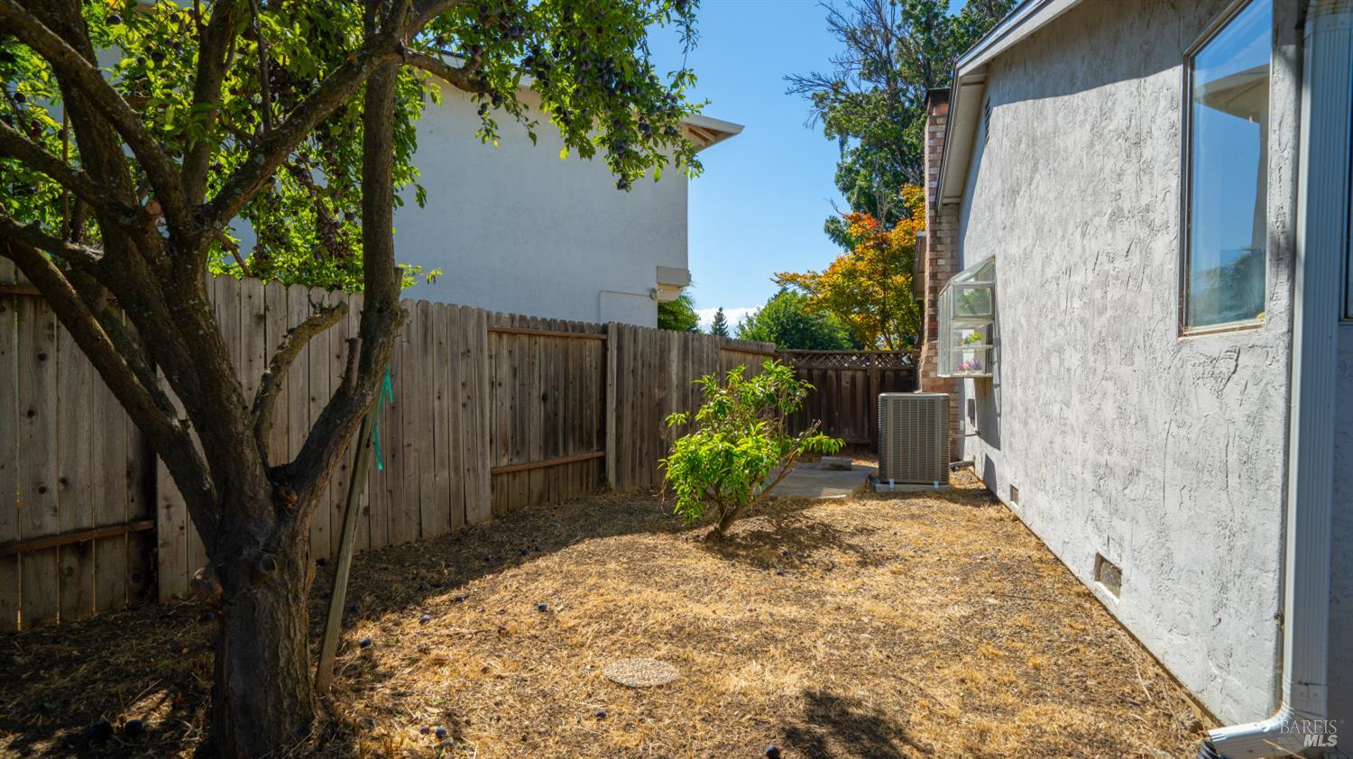 1355 Hemingway Court Dixon CA 95620