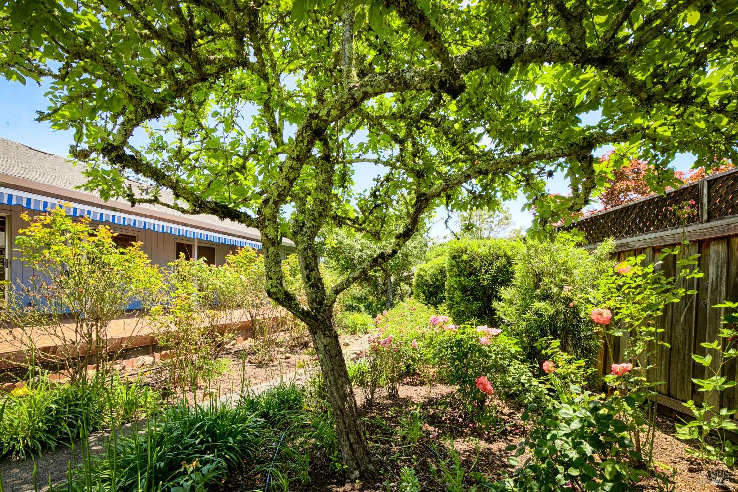 8817 Hood Mountain Circle Santa Rosa CA 95409