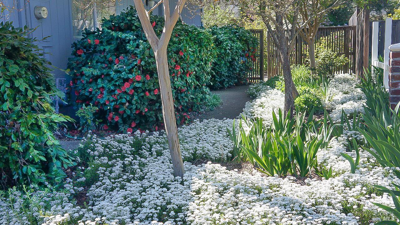 8817 Hood Mountain Circle Santa Rosa CA 95409