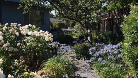 8817 Hood Mountain Circle Santa Rosa CA 95409