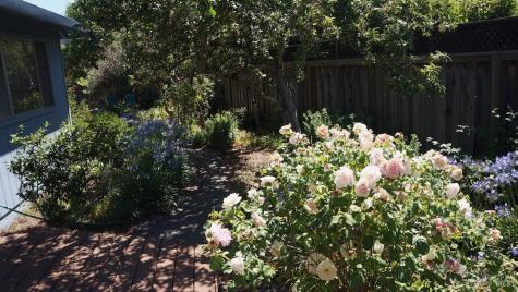 8817 Hood Mountain Circle Santa Rosa CA 95409