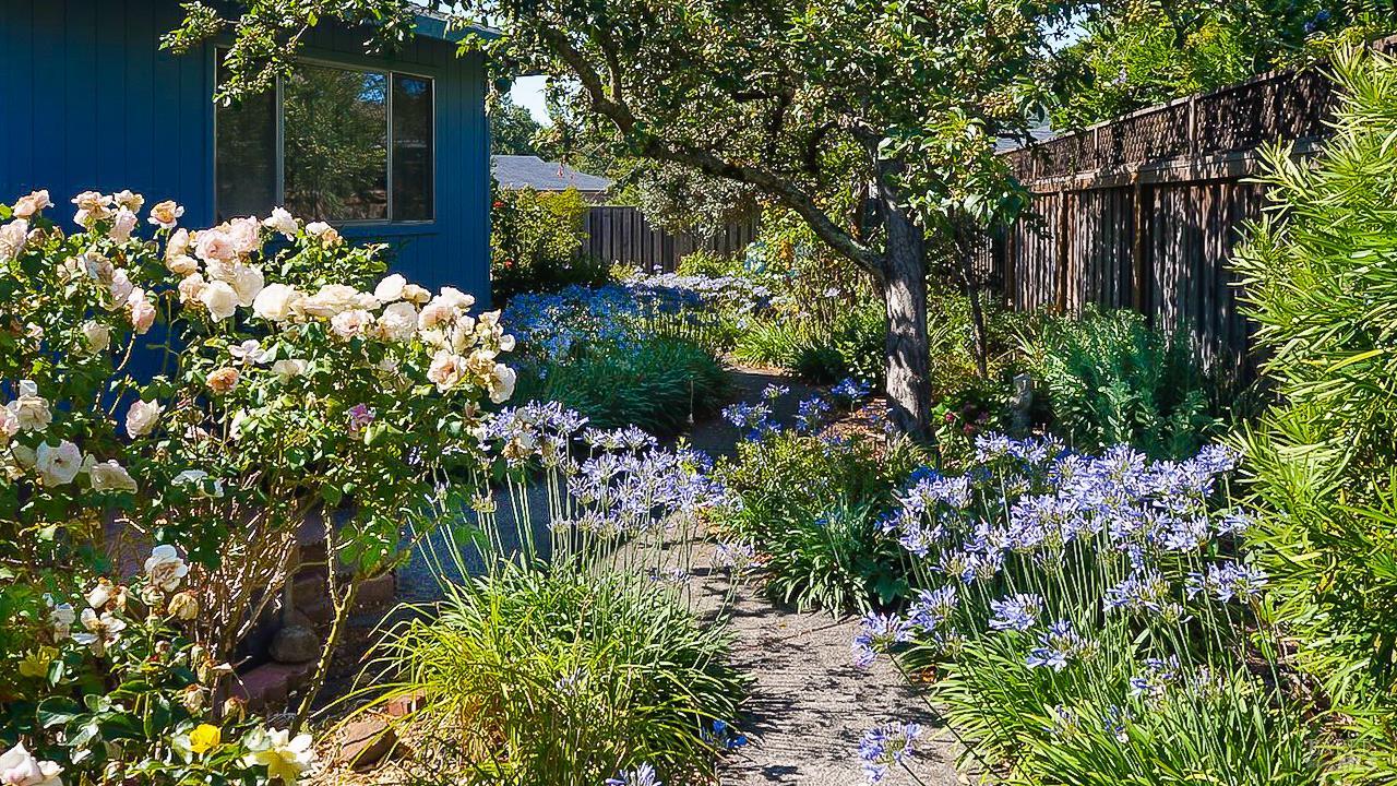 8817 Hood Mountain Circle Santa Rosa CA 95409