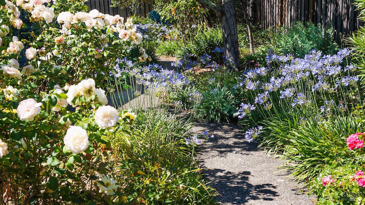 8817 Hood Mountain Circle Santa Rosa CA 95409