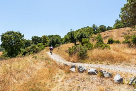 1100 Bayhills Drive San Rafael CA 94903