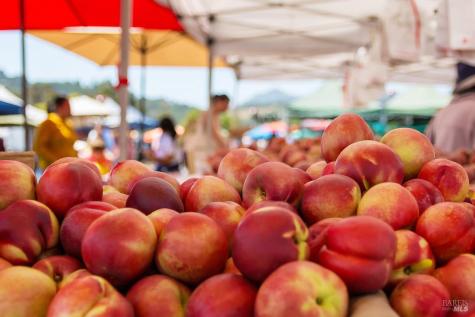 1100 Bayhills Drive San Rafael CA 94903