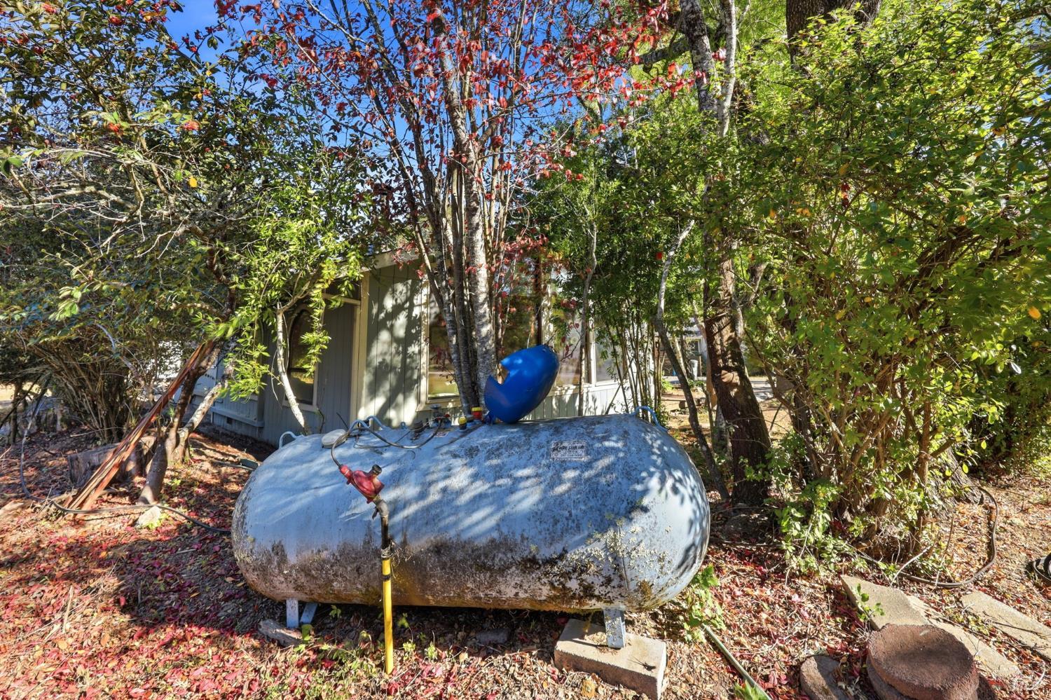 645 Furlong Road Sebastopol CA 95472