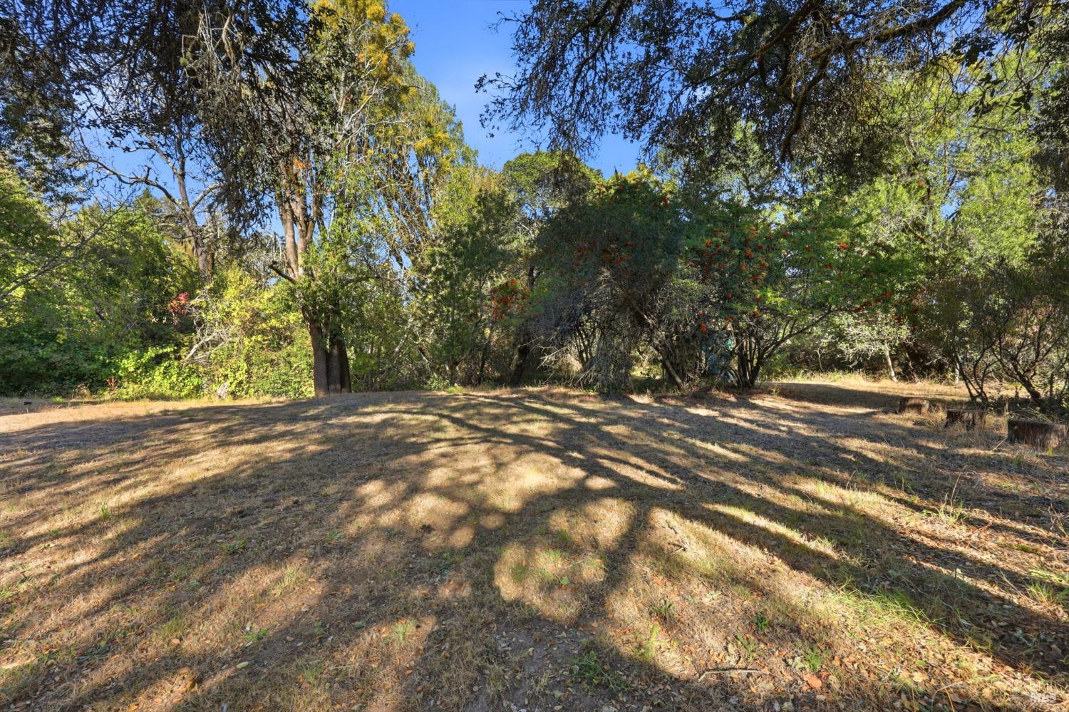 645 Furlong Road Sebastopol CA 95472