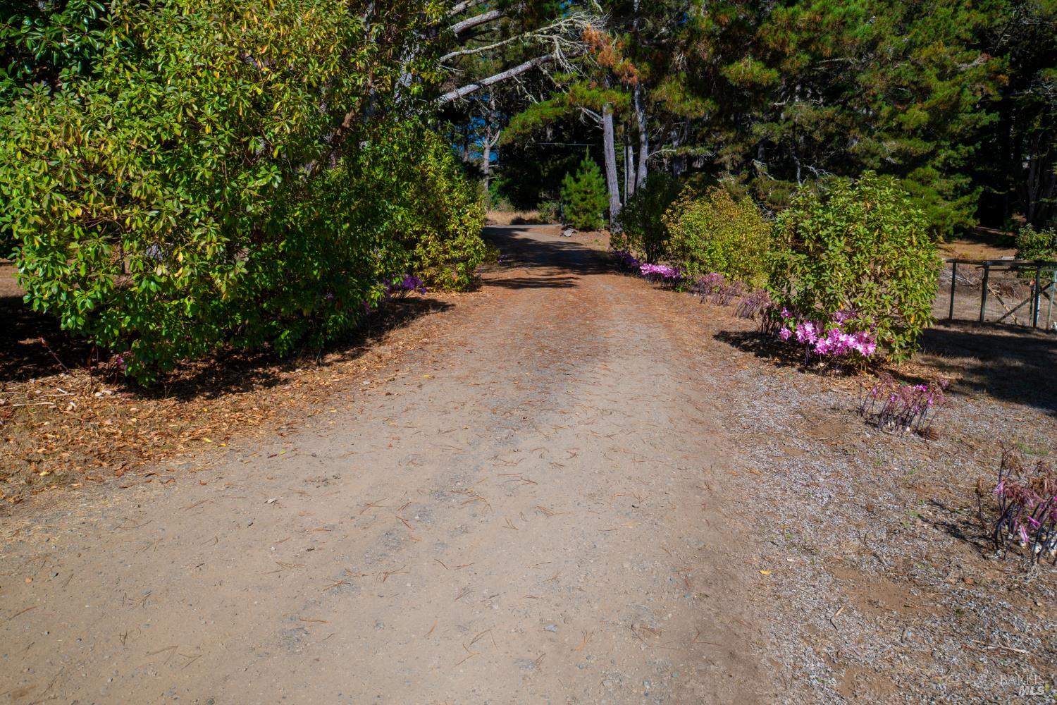 43651 Crispin Road Manchester CA 95459