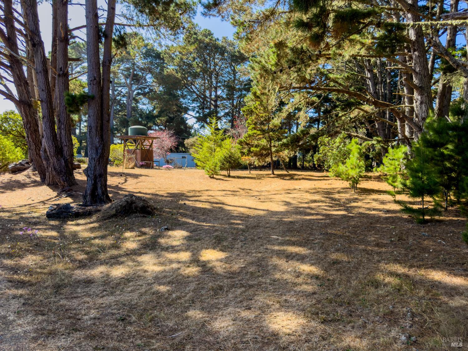 43651 Crispin Road Manchester CA 95459