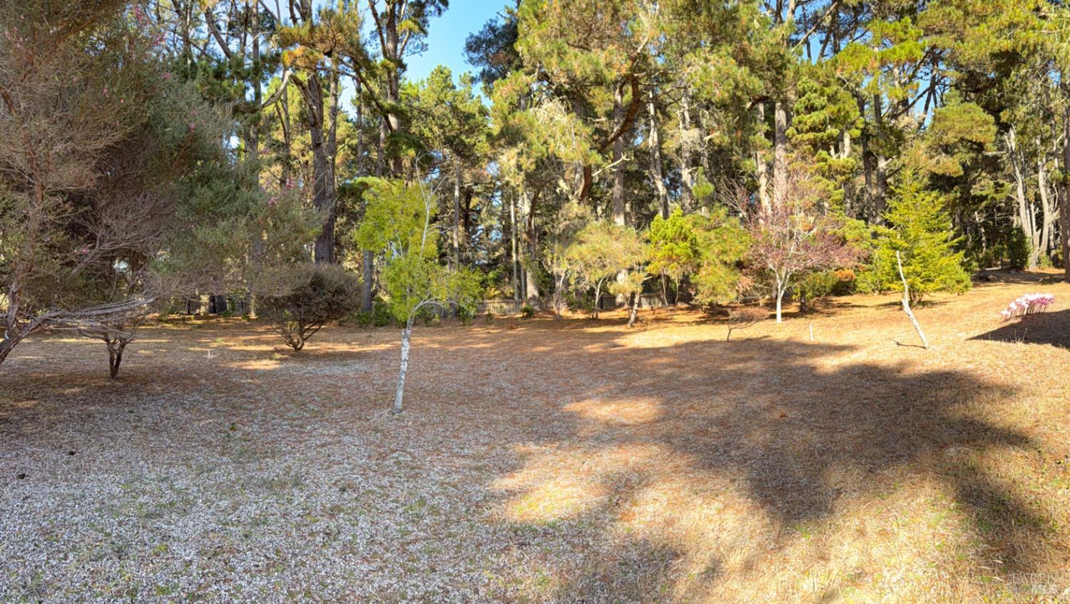 43651 Crispin Road Manchester CA 95459