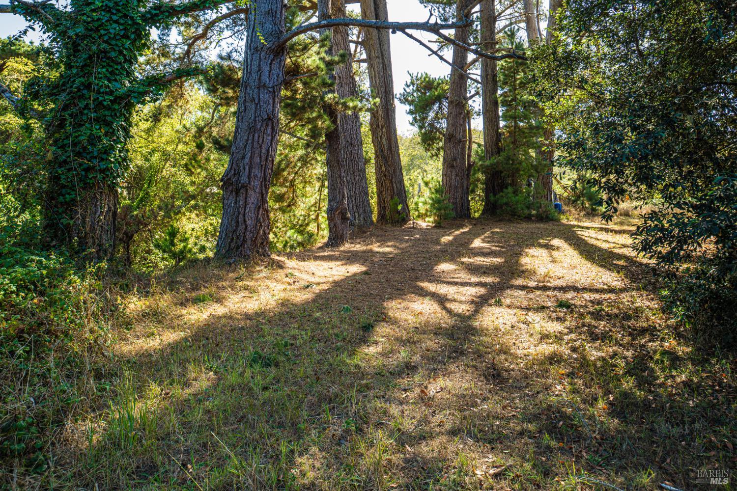 43651 Crispin Road Manchester CA 95459
