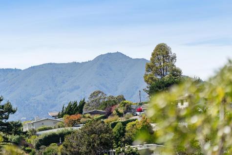 705 Hilary Drive Tiburon CA 94920